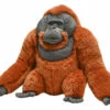Artist Collection - Orangutan Male