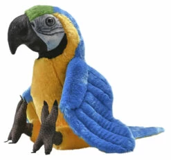Artist Collection - Blue Yellow Macaw