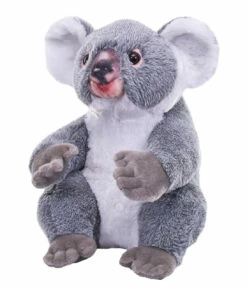 Artist Collection - Koala