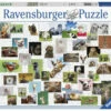 Ravensburger - Funny Animals Puzzle 1500 Piece