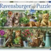 Ravensburger - Cats On The Shelf Puzzle 500 Pce
